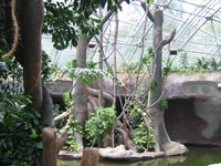 Dschungel mit echtem Grünbestand (September 2004)
